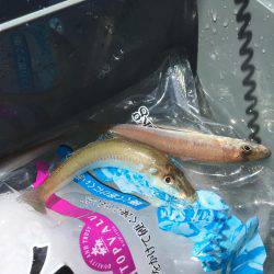 キスちょい投げ