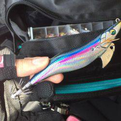 エギングに来たはずが...