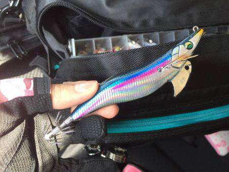 エギングに来たはずが...