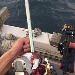 舞鶴五目釣り 大物あり