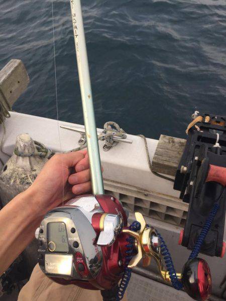 舞鶴五目釣り 大物あり