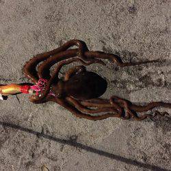 準備は万全に…