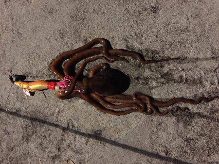 準備は万全に…