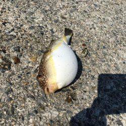 もったいない！