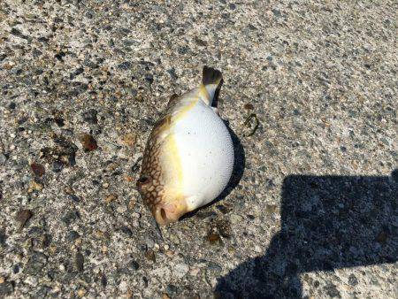 もったいない！