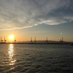 チニングに挑戦してますが