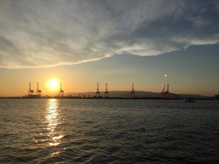 チニングに挑戦してますが