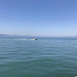 ジクでシリアケイカ