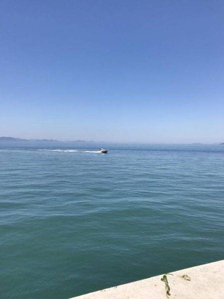 ジクでシリアケイカ