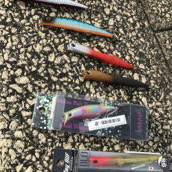 フッコ釣れました！