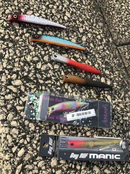 フッコ釣れました！