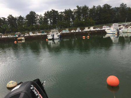 ブリと言いたい！