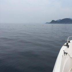 今日はジグ反応ほぼなし！鯛ラバ大活躍！