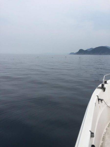 今日はジグ反応ほぼなし！鯛ラバ大活躍！