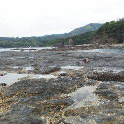 グレ厳しかった・・バラシ・・・