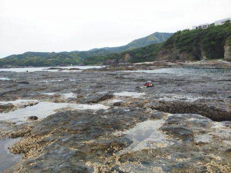 グレ厳しかった・・バラシ・・・