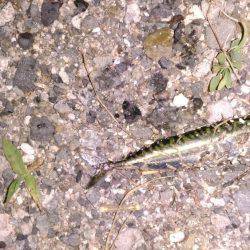 泉佐野コンビナート湾奥