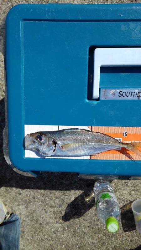 フカセ釣り初挑戦