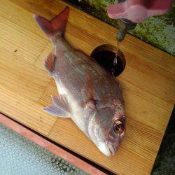 船でキス釣りも激渋…