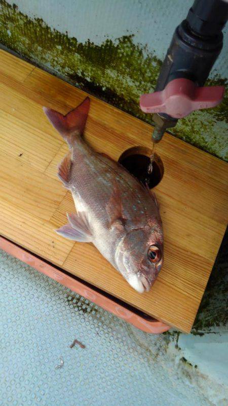 船でキス釣りも激渋…