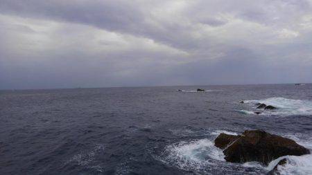 ハマチ・メジロ祭り