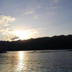 まだ早かった。。。