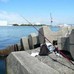 久々に近場の本荘、二見でキス狙い