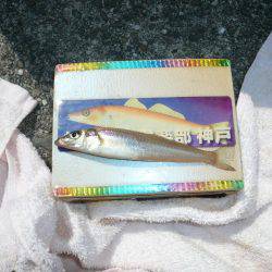 佐野白灯台でキス狙い