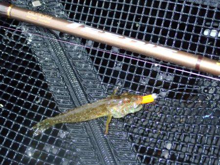 超ライトフィッシュゲーム