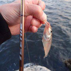 子供の送迎の合間に♪