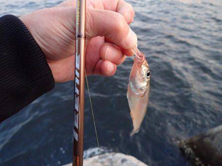 子供の送迎の合間に♪