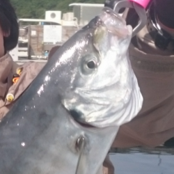 久し振りの海上釣堀