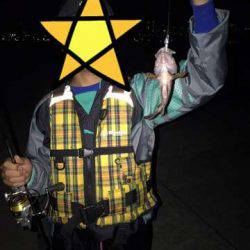 テクトロマスター？