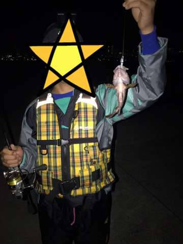 テクトロマスター？