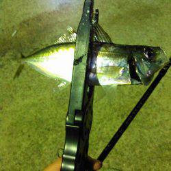 アジアジアジング