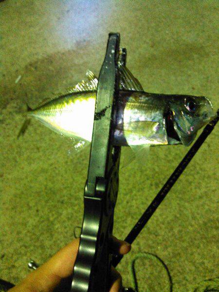 アジアジアジング