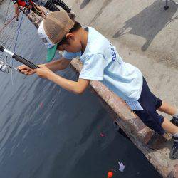 子供とサビキ釣り♪