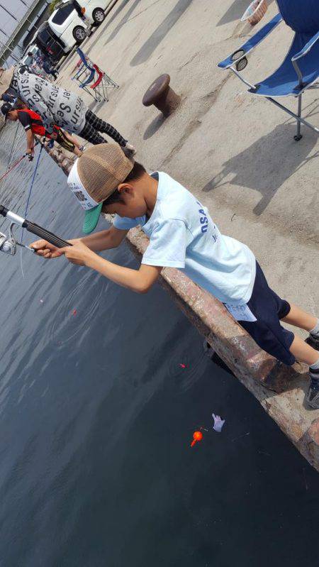 子供とサビキ釣り♪
