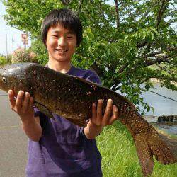 たまにはのんびりカープフィッシング