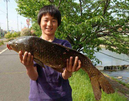 たまにはのんびりカープフィッシング