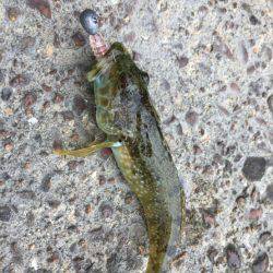 久々に海南方面へ