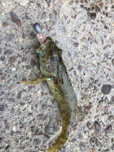 久々に海南方面へ