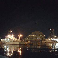 バチパターンやけど‼