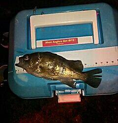 GWプレッシャー高いなぁ