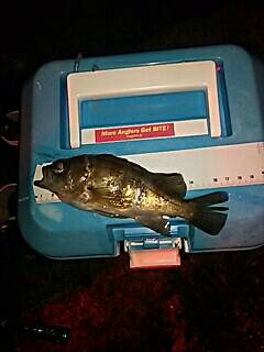 GWプレッシャー高いなぁ