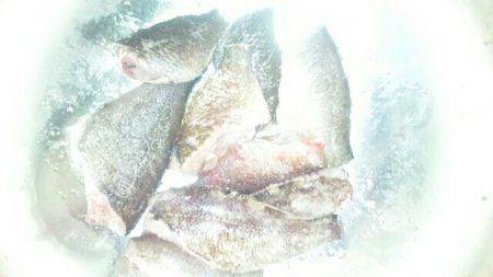 初メバル。カサゴ。