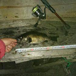 またまた淡路遠征