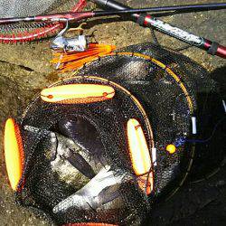 Ｍー１ファイナルプラクティス！