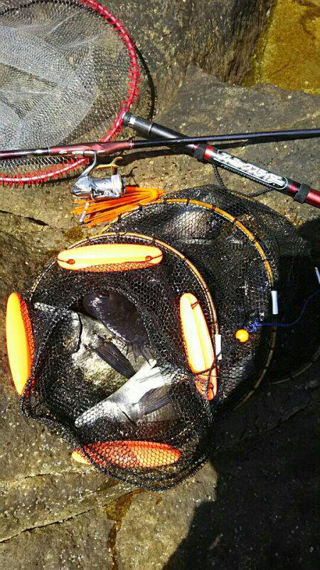 Ｍー１ファイナルプラクティス！