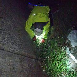 友人達とわいわいメバリング♪